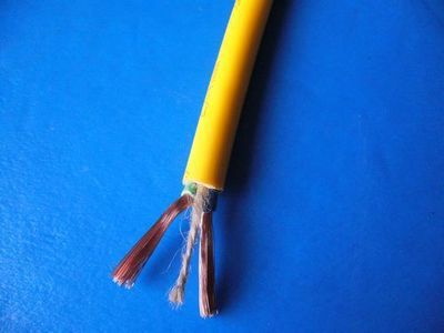 穩定供貨！RVVP防爆插座專用黃電纜/RVV 2X4平方國標電源線廠家直銷解析